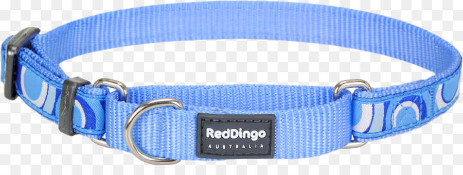 Dingo，Collar De Perro PNG