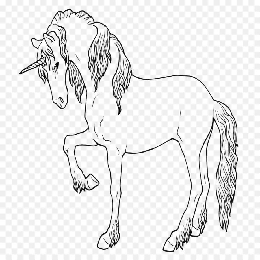 Unicornio，Ausmalbild PNG