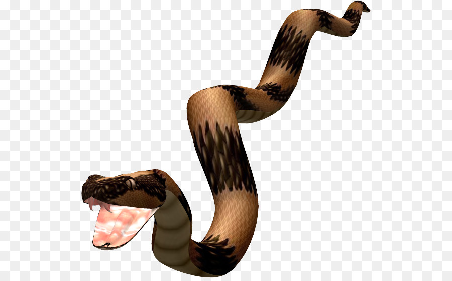 Serpiente，Animal PNG