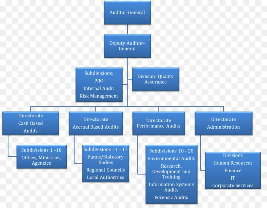 Organización，Estructura Organizativa PNG