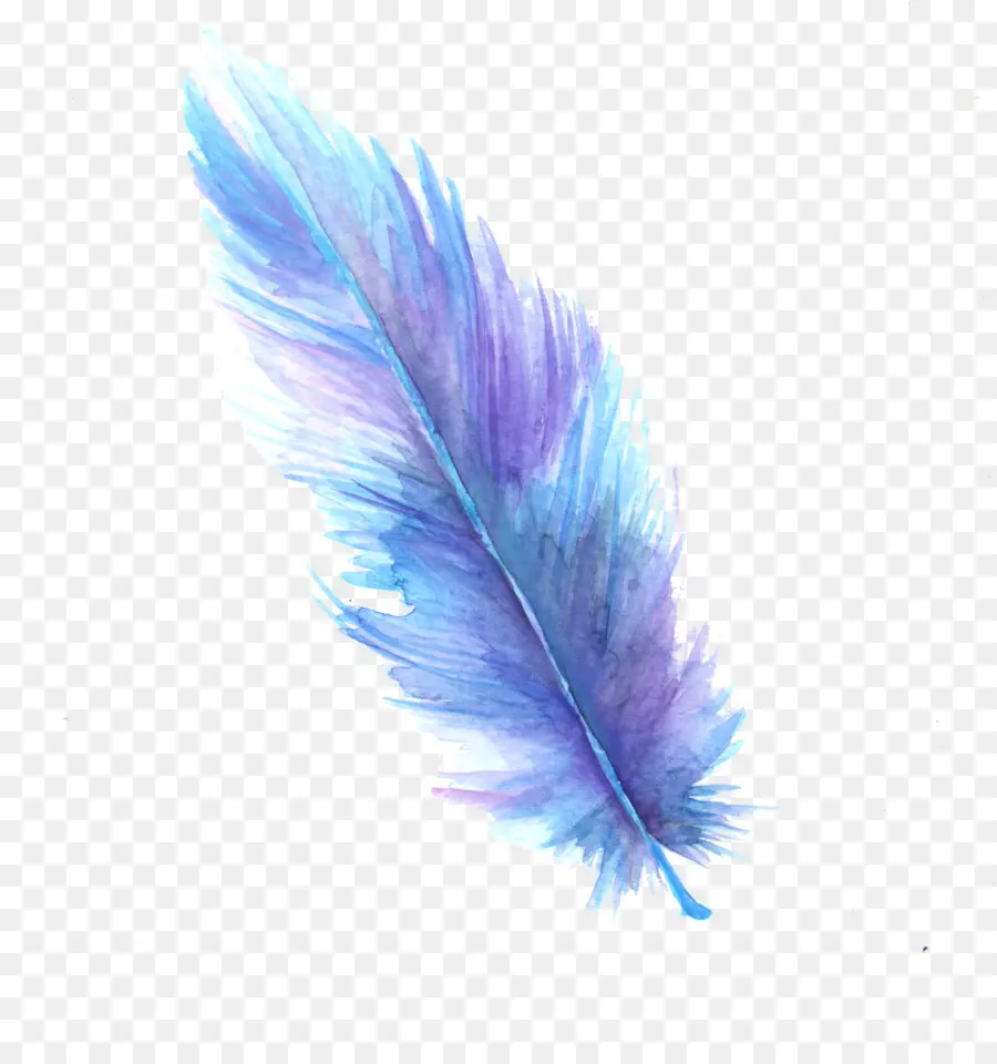 Pluma，Cuadro PNG