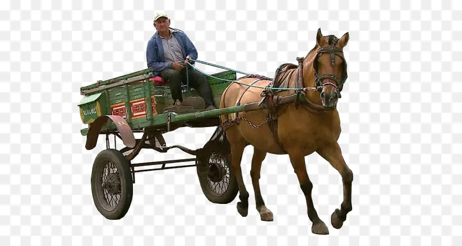 Carro De Caballos，Caballo PNG