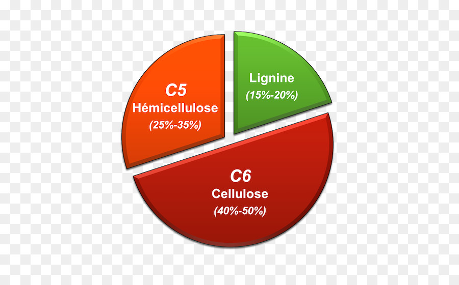 Papel，Hemicelulosa PNG