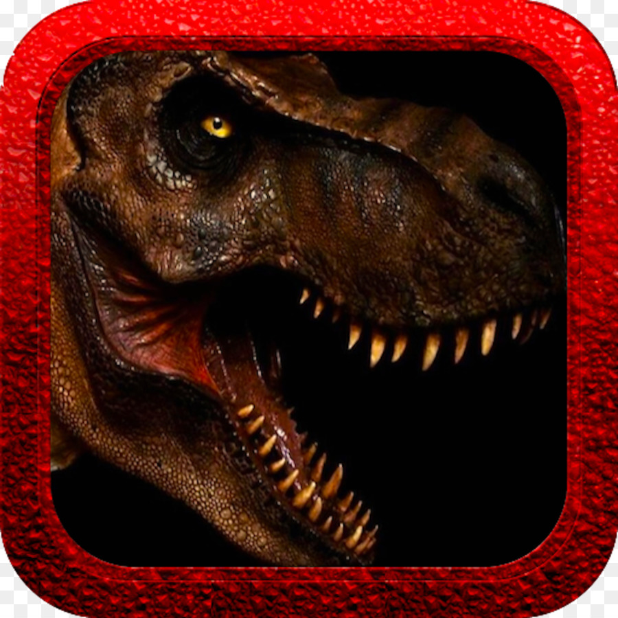 Tyrannosaurus，Velociraptor PNG