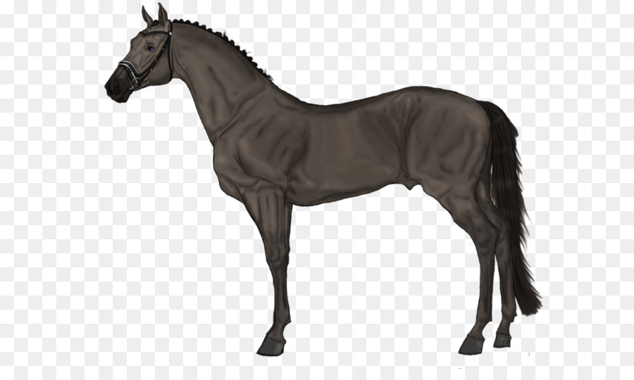 Caballo，Alfombra PNG