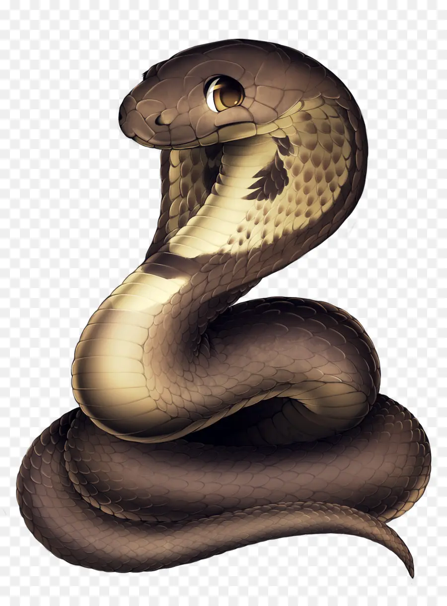 Serpiente，Cobra PNG