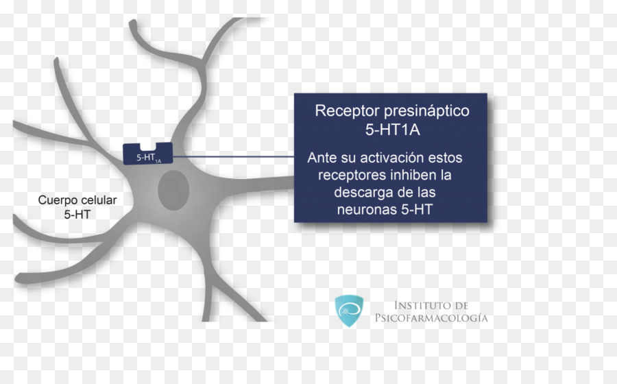 Receptor 5ht1a，Receptor De 5ht PNG