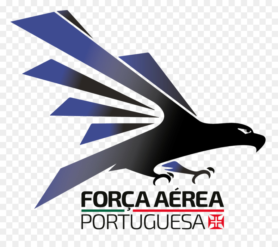 Municipio De Évora，Logo PNG