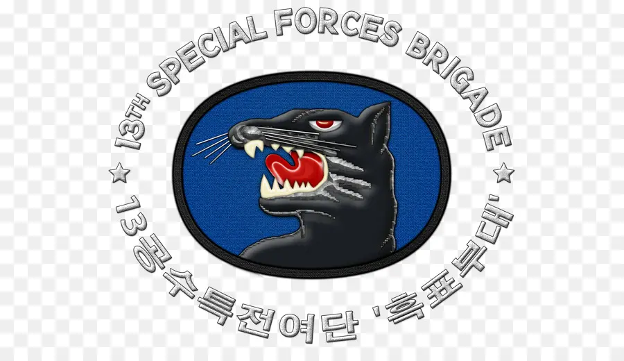 Emblema De Las Fuerzas Especiales，Militar PNG