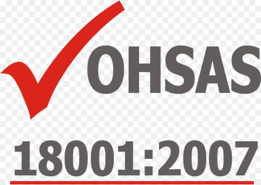 Ohsas 18001，Gestión PNG