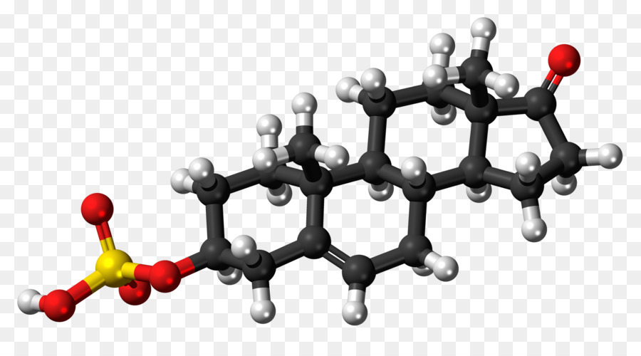 Testosterona，Esteroide Anabólico PNG