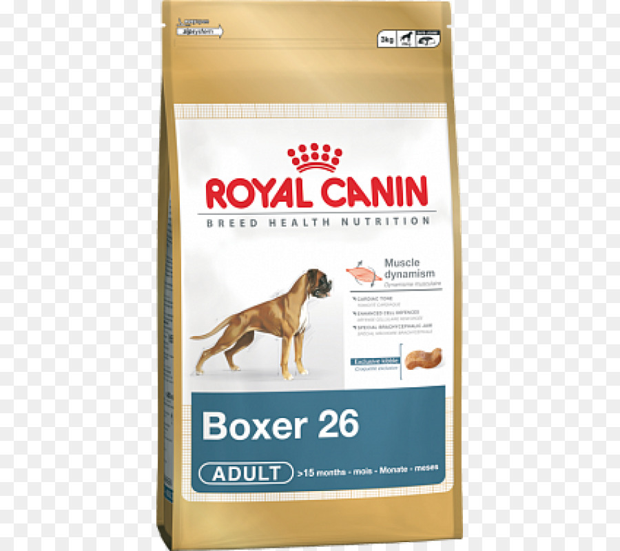 Boxer，Perro Maltés PNG