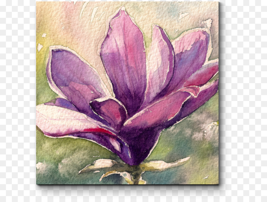 Magnolia，Cuadro PNG