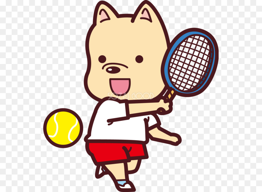 Tenis，Raqueta PNG