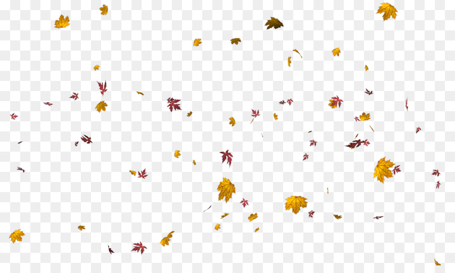 Hojas De Otoño，Caer PNG