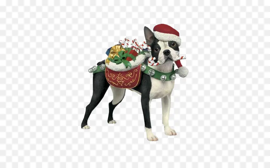 Boston Terrier，Terrier PNG