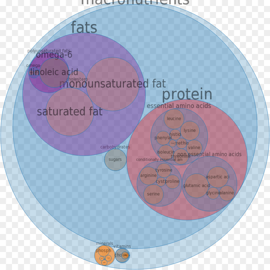 Nutritivo，Aderezo De Miel Y Mostaza PNG