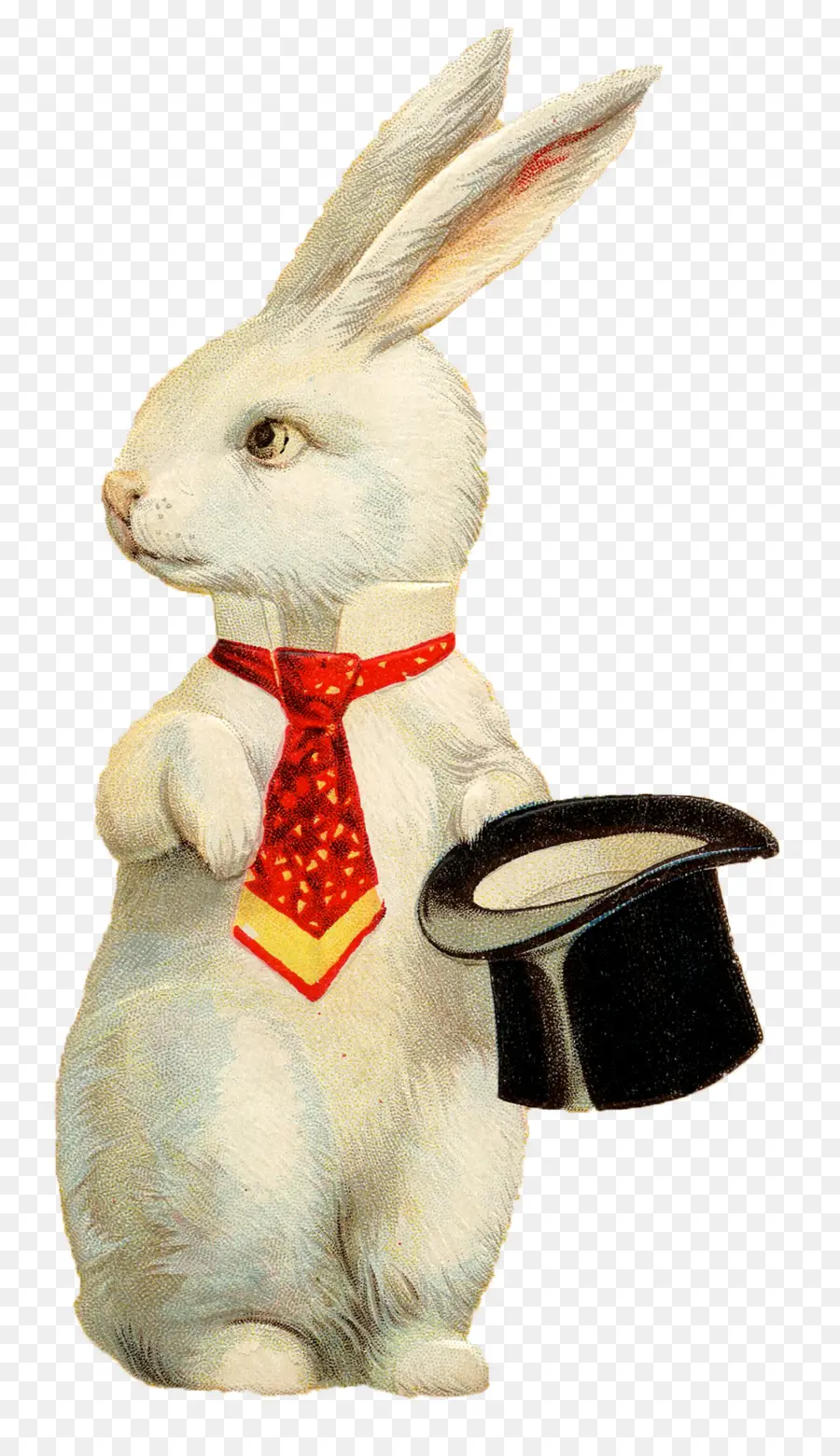 Conejo De Pascua，Conejo Europeo PNG