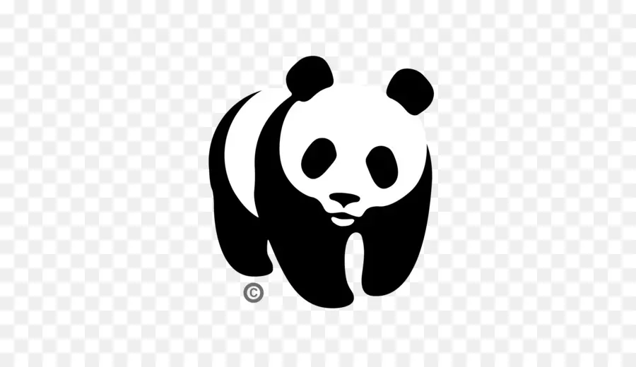 Panda，Oso PNG