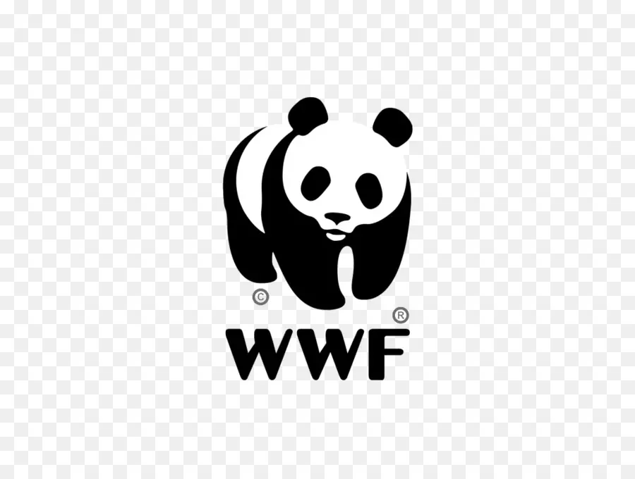 Panda Gigante，Fondo Mundial Para La Naturaleza PNG