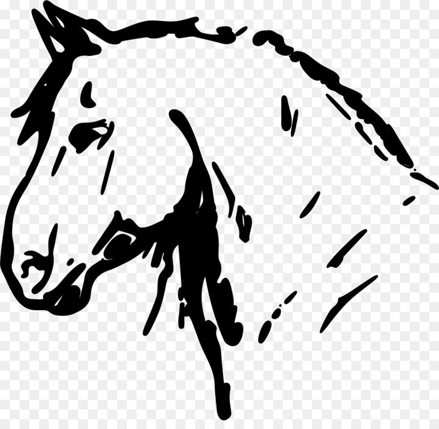 Cabeza De Caballo，Bosquejo PNG