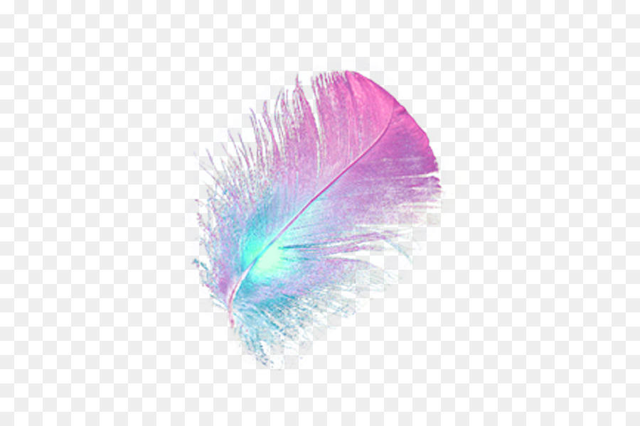 Plumas Coloridas，Suave PNG