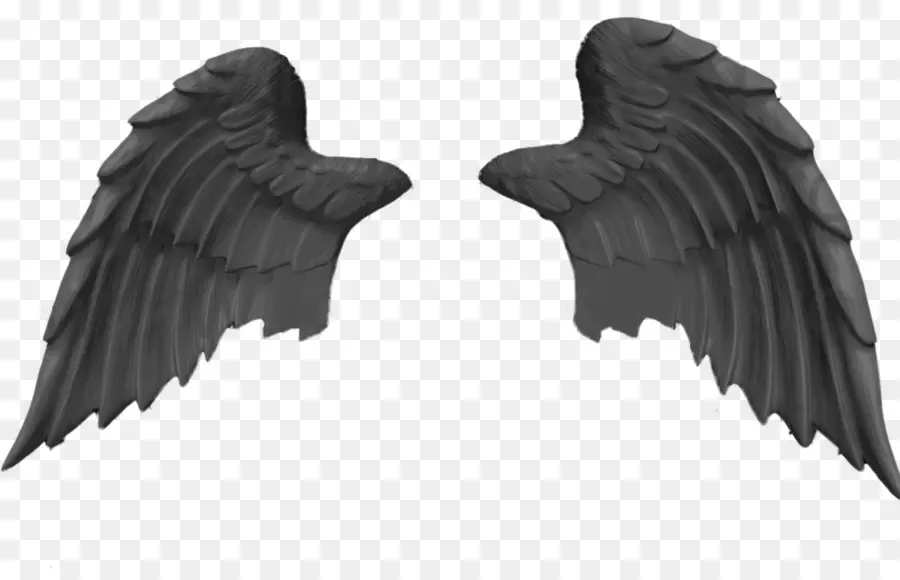 Ehc Black Wings Linz，ángel PNG