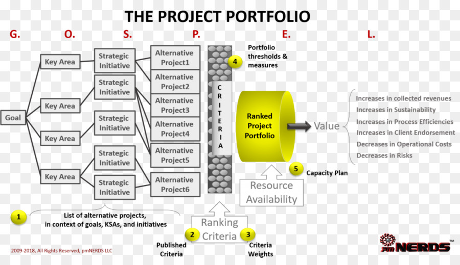 Gestión Del Portafolio De Proyectos，Organización PNG