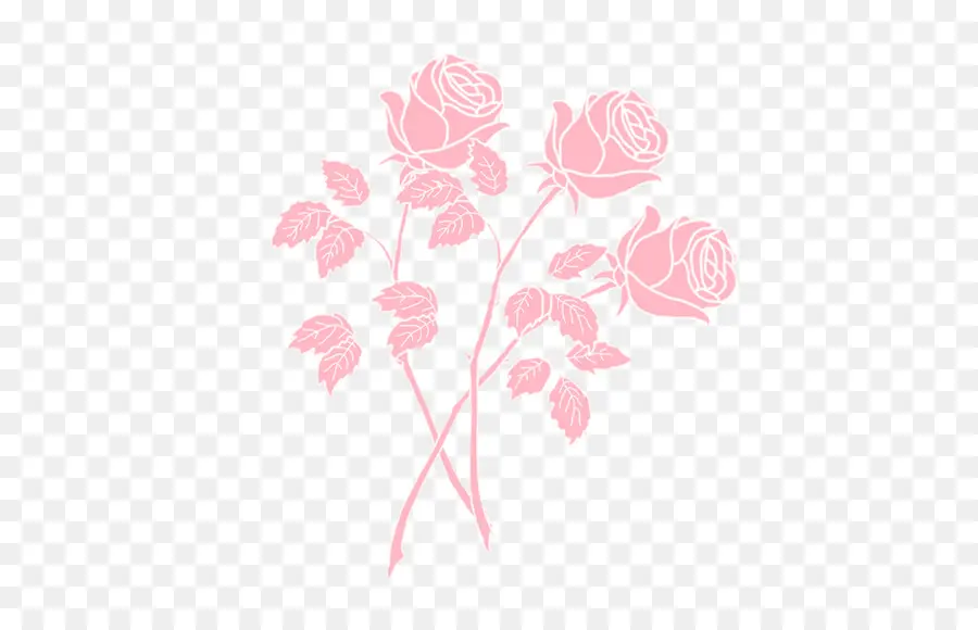 Rosas Rosadas，Ramo PNG