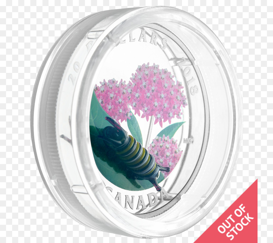 Moneda De Plata，Canadá PNG