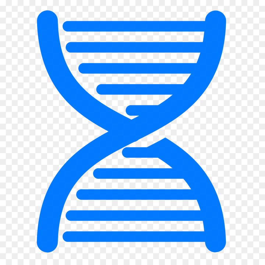 Proyecto Genoma Humano，ácido Nucleico Doble Hélice PNG