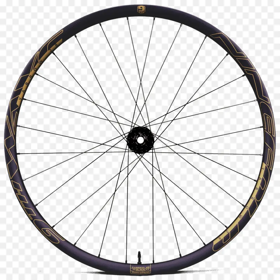 Rueda De Bicicleta，Bicicleta PNG