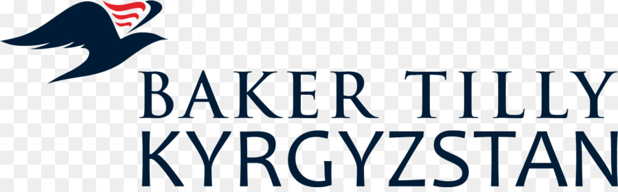 Logo，Baker Tilly Virchow Krause Llp PNG