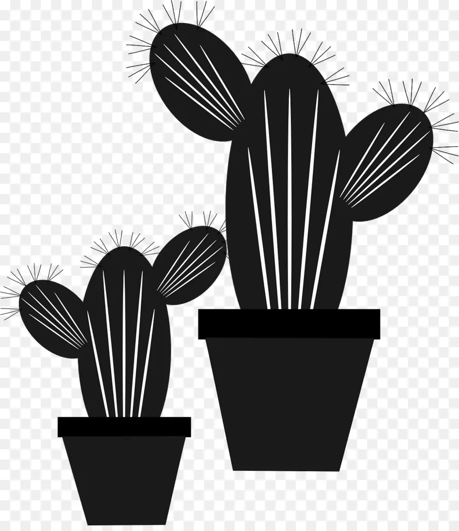 Cactus，En Conserva PNG