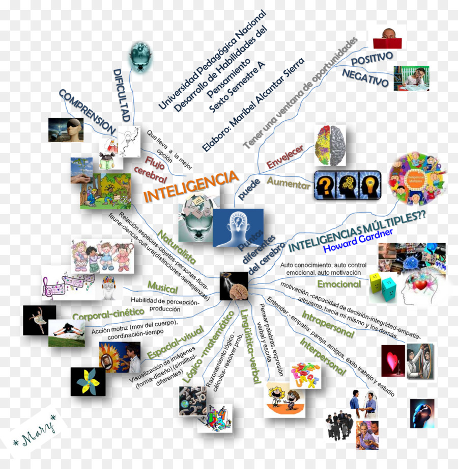 Diagrama，Teoría De Las Inteligencias Múltiples PNG