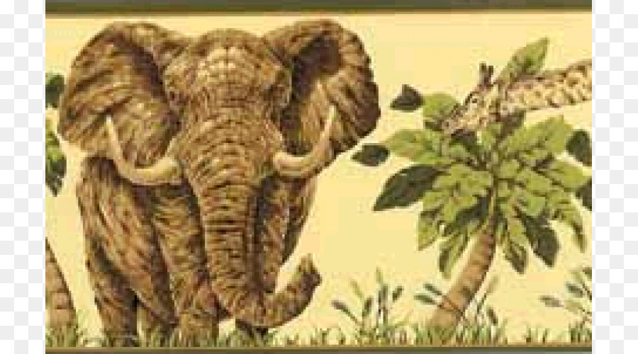 Elefante Indio，Elefante Africano PNG