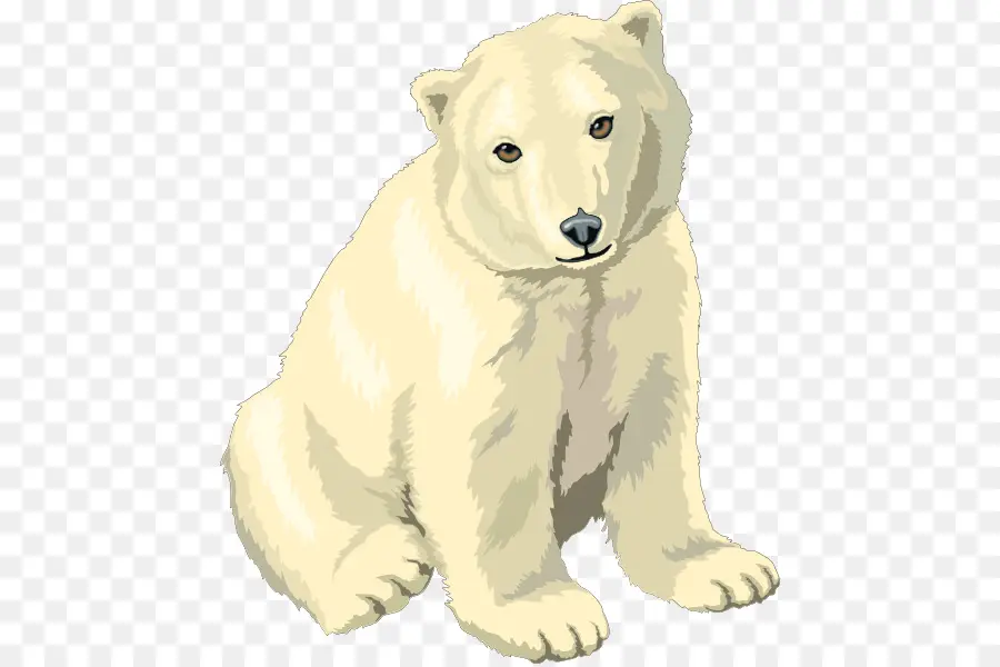 Oso Polar，Oso PNG