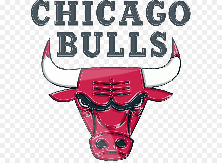 Los Toros De Chicago，Nba PNG