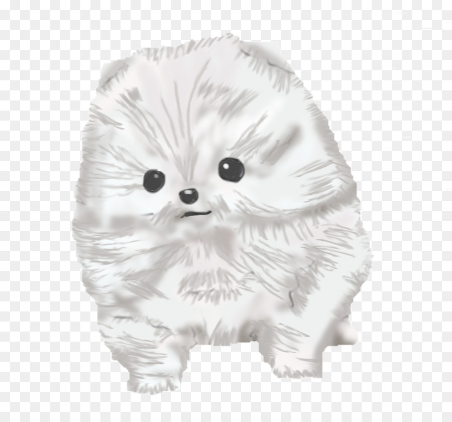 Bigotes，Pomeranio PNG