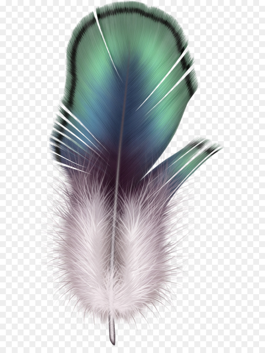 Pluma，Vistoso PNG