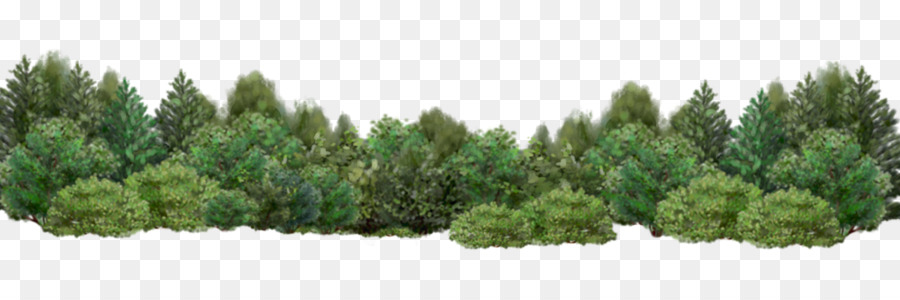 Arbusto，árbol PNG