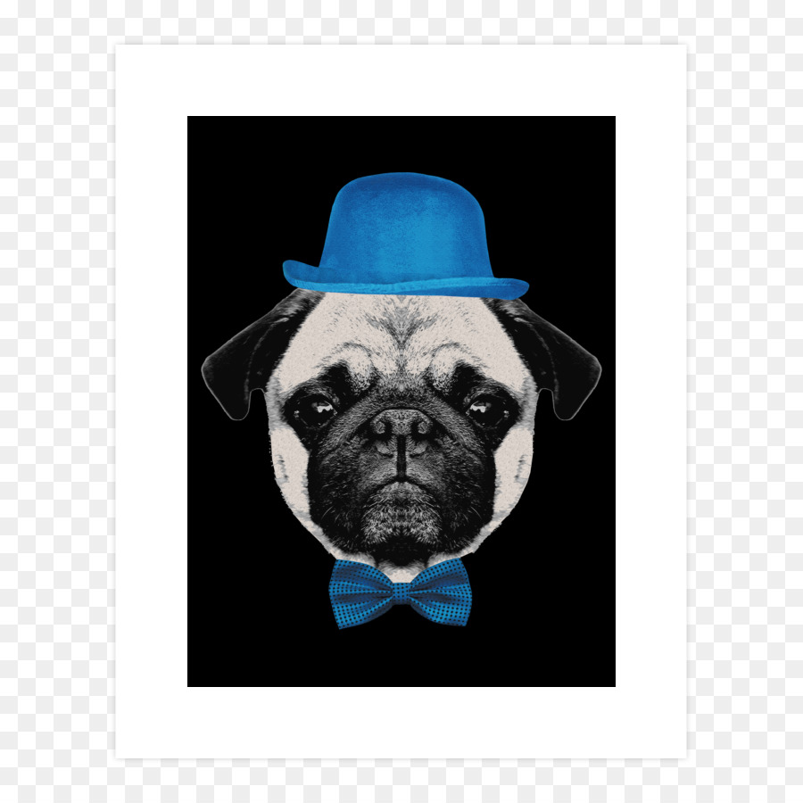 Doguillo，Cachorro PNG