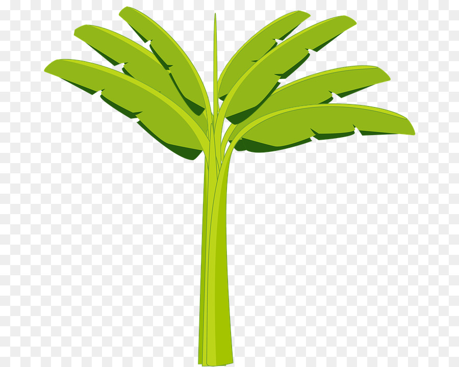 Árbol，Verde PNG