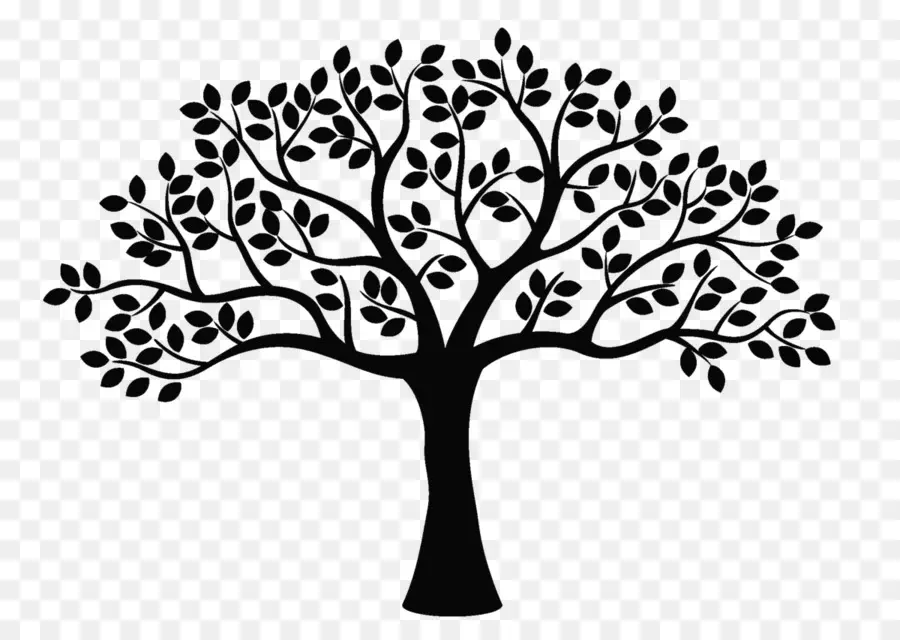 Silueta，árbol PNG