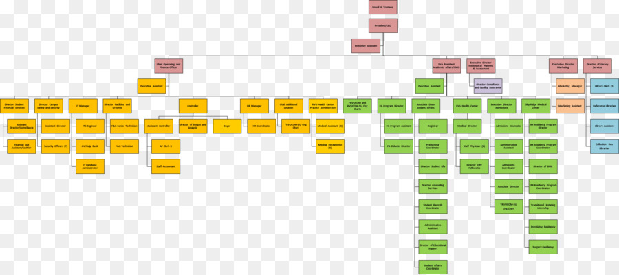 Organigrama，Rocky Vista University College Of Osteopathic Medicine PNG