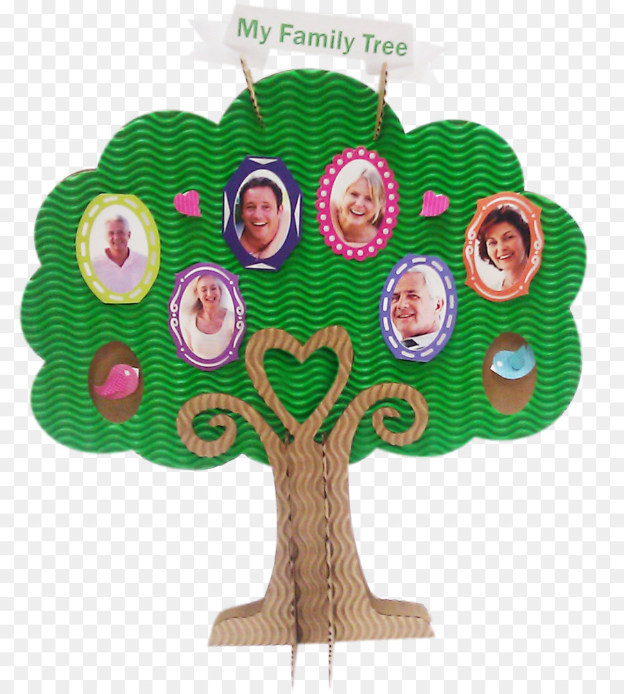 Árbol Genealógico，Genealogía PNG