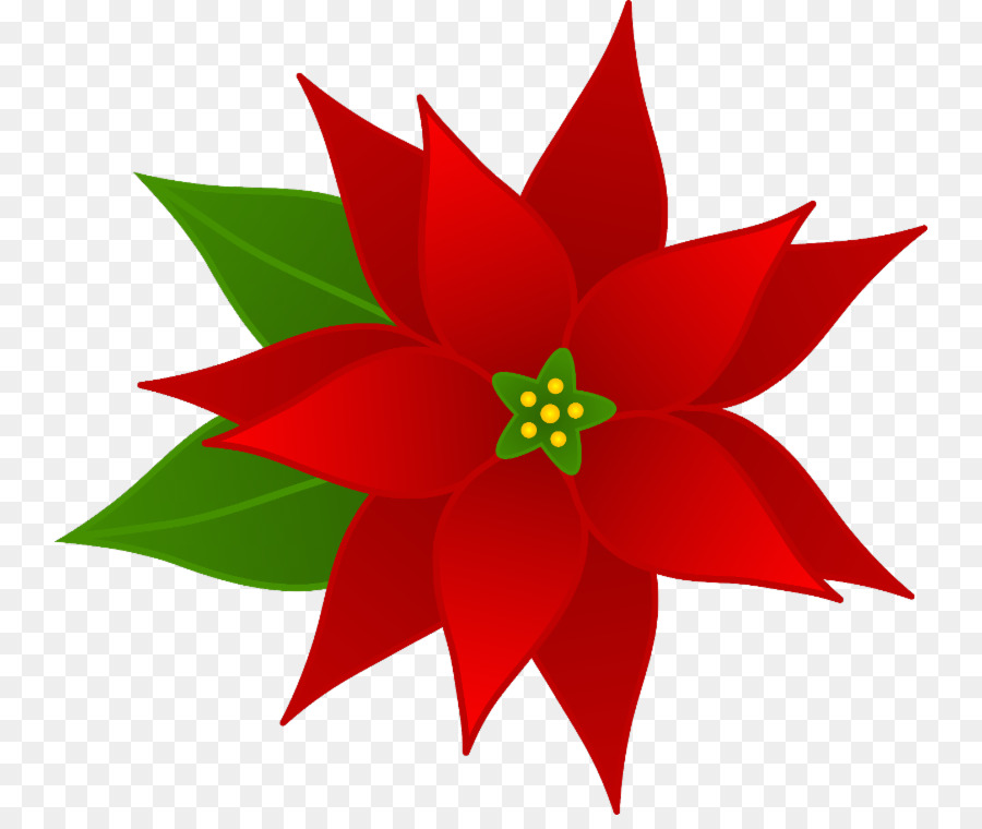 Flor De Pascua，Rojo PNG