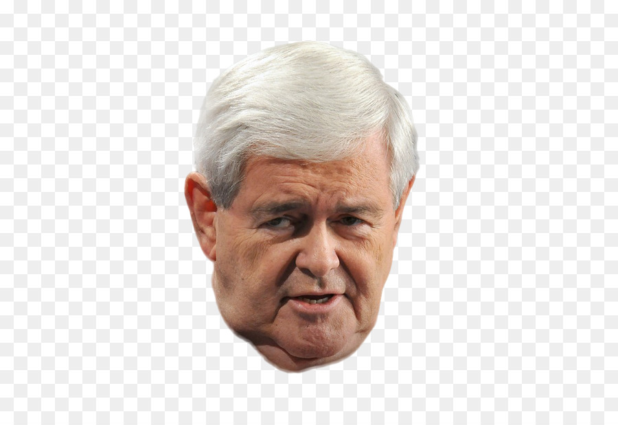 Newt Gingrich，Mentón PNG