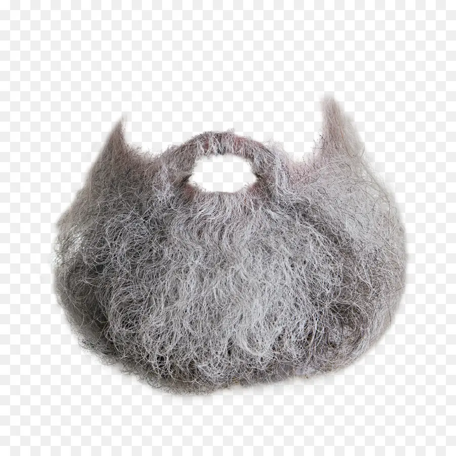 Barba Gris，Vello Facial PNG