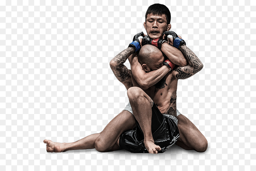 Artes Marciales Mixtas，Artes Marciales PNG